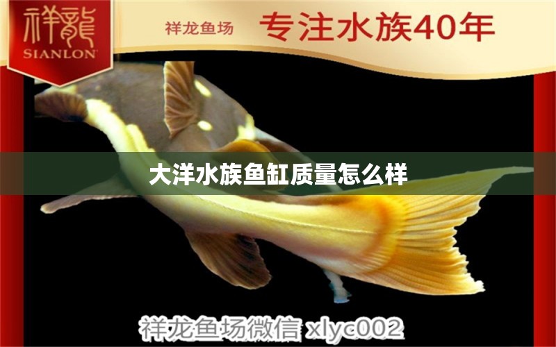 大洋水族鱼缸质量怎么样 鱼缸百科 第2张