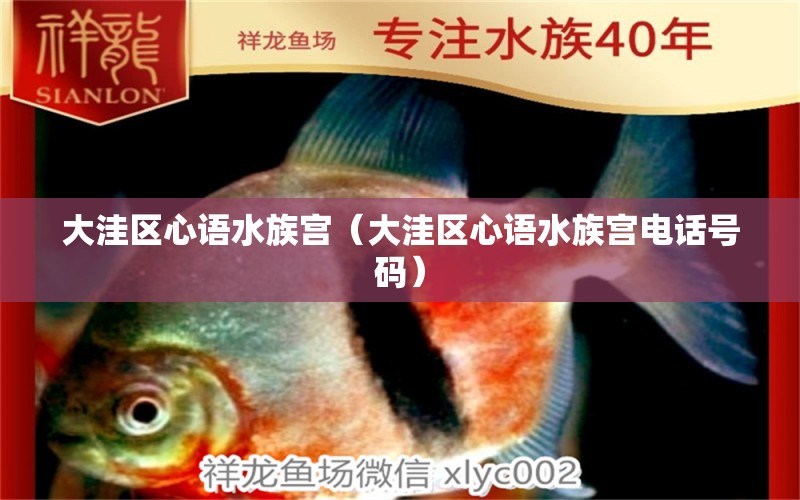 大洼区心语水族宫（大洼区心语水族宫电话号码）