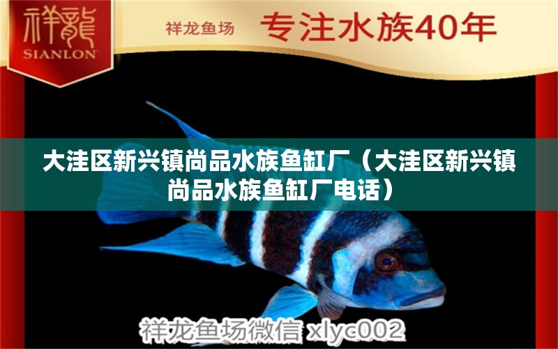 大洼区新兴镇尚品水族鱼缸厂（大洼区新兴镇尚品水族鱼缸厂电话）