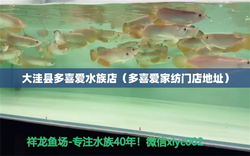 大洼县多喜爱水族店（多喜爱家纺门店地址）