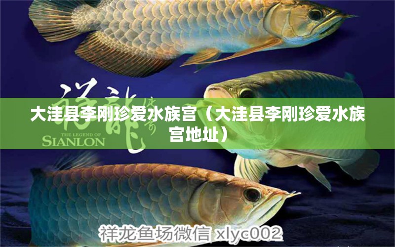 大洼县李刚珍爱水族宫（大洼县李刚珍爱水族宫地址）