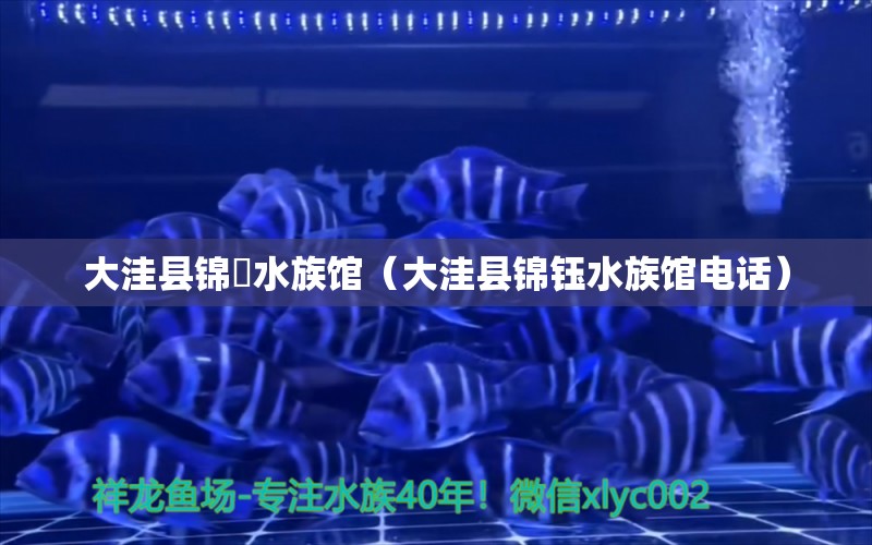 大洼县锦鈺水族馆（大洼县锦钰水族馆电话） 全国水族馆企业名录