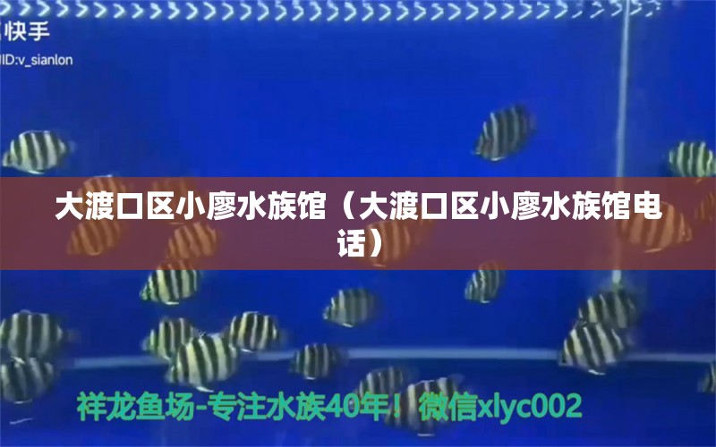 大渡口区小廖水族馆（大渡口区小廖水族馆电话） 全国水族馆企业名录