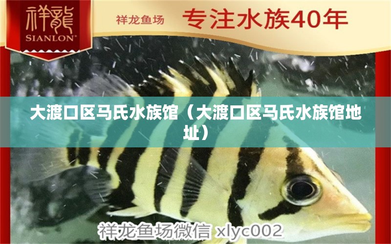 大渡口区马氏水族馆（大渡口区马氏水族馆地址） 全国水族馆企业名录