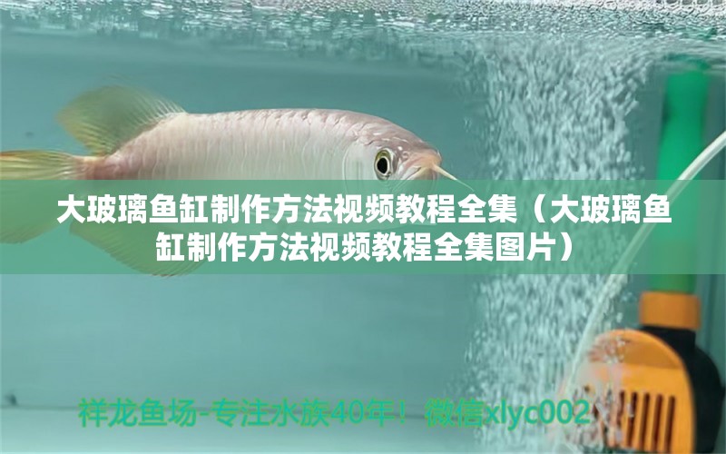 大玻璃鱼缸制作方法视频教程全集（大玻璃鱼缸制作方法视频教程全集图片）