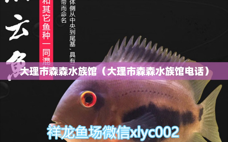 大理市森森水族馆（大理市森森水族馆电话）