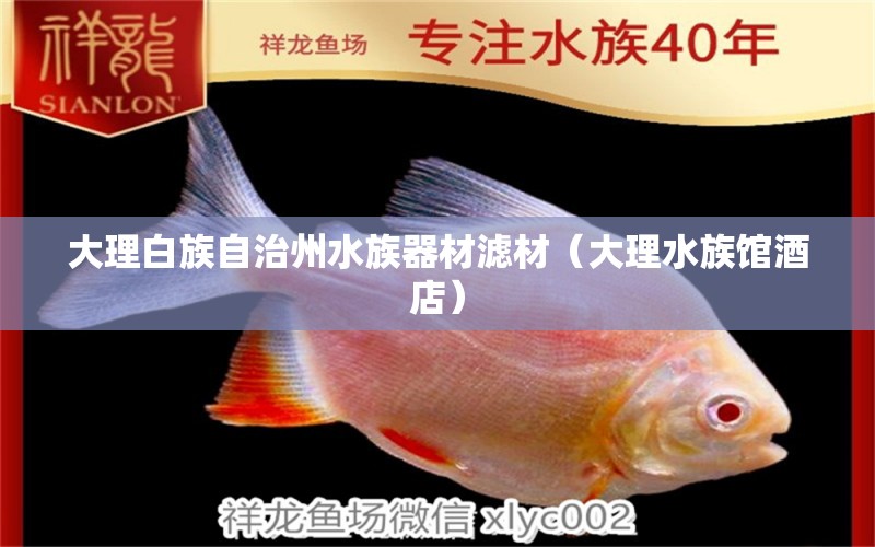 大理白族自治州水族器材滤材（大理水族馆酒店） 祥龙水族医院