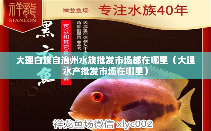 大理白族自治州水族批发市场都在哪里（大理水产批发市场在哪里）