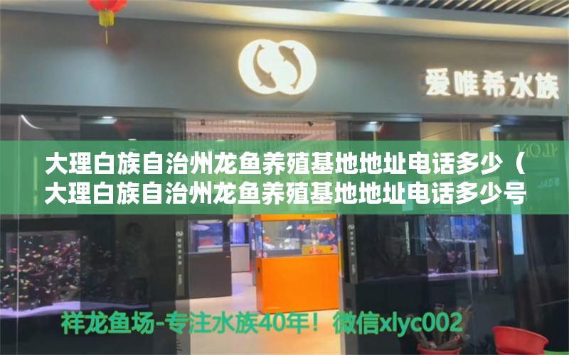 大理白族自治州龙鱼养殖基地地址电话多少（大理白族自治州龙鱼养殖基地地址电话多少号）