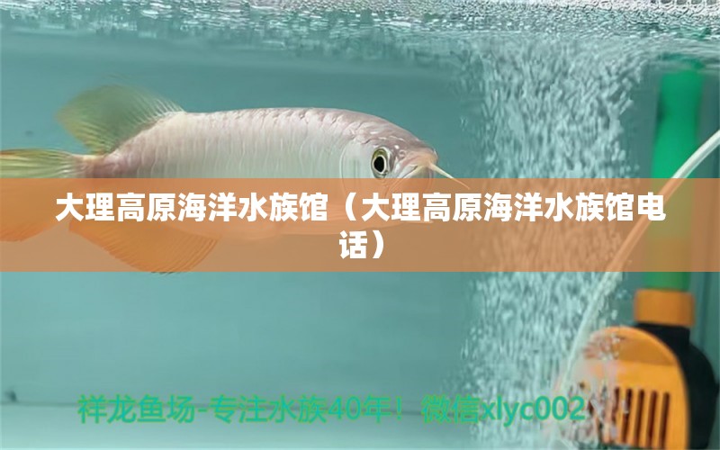 大理高原海洋水族馆（大理高原海洋水族馆电话） 全国水族馆企业名录