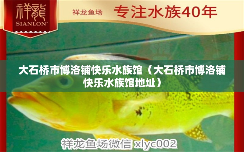 大石桥市博洛铺快乐水族馆（大石桥市博洛铺快乐水族馆地址） 全国水族馆企业名录