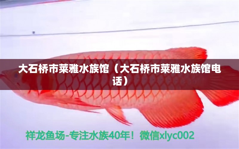 大石桥市莱雅水族馆（大石桥市莱雅水族馆电话） 全国水族馆企业名录