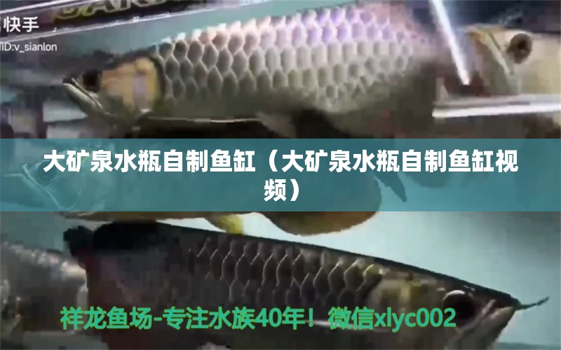 大矿泉水瓶自制鱼缸（大矿泉水瓶自制鱼缸视频）