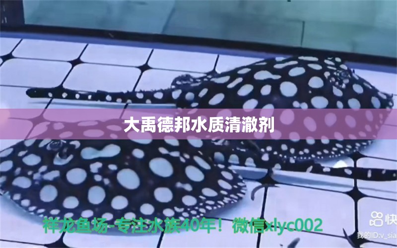 大禹德邦水质清澈剂 广州水族器材滤材批发市场