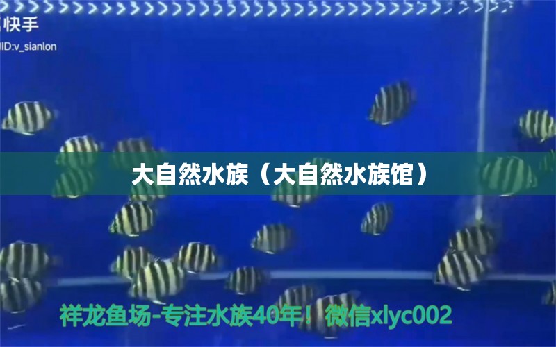 大自然水族（大自然水族馆） 全国水族馆企业名录