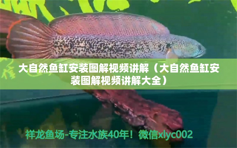 大自然鱼缸安装图解视频讲解（大自然鱼缸安装图解视频讲解大全）