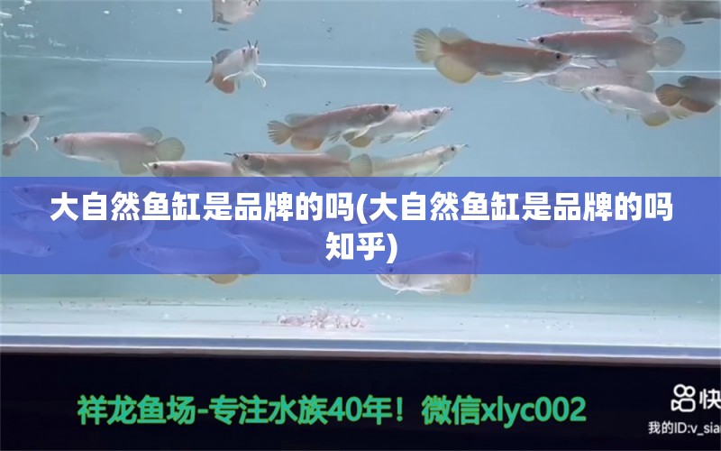 大自然鱼缸是品牌的吗(大自然鱼缸是品牌的吗知乎)