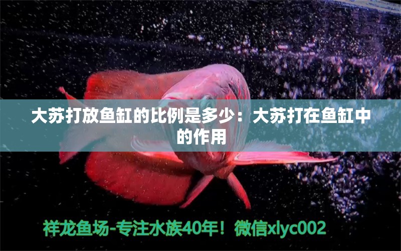 大苏打放鱼缸的比例是多少：大苏打在鱼缸中的作用 鱼缸百科 第2张