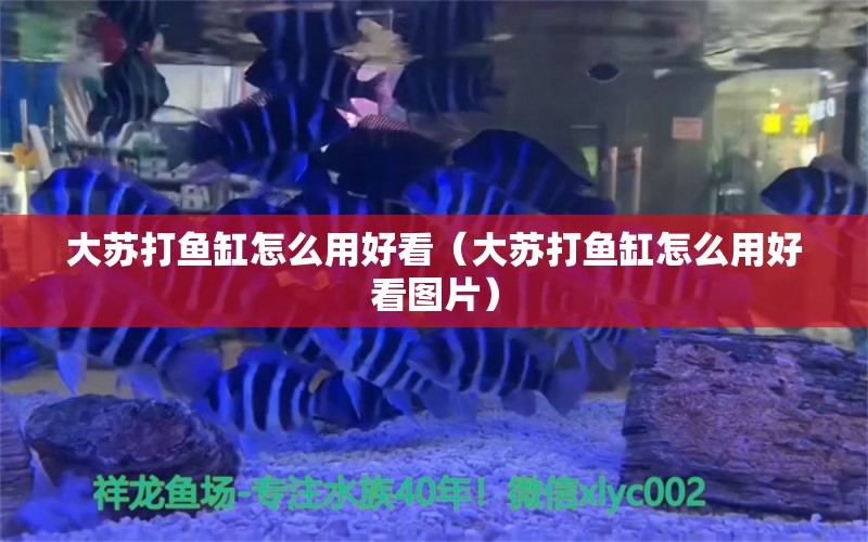 大苏打鱼缸怎么用好看（大苏打鱼缸怎么用好看图片）