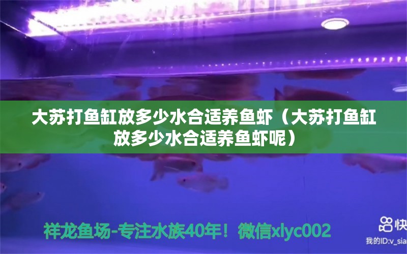 大苏打鱼缸放多少水合适养鱼虾（大苏打鱼缸放多少水合适养鱼虾呢）