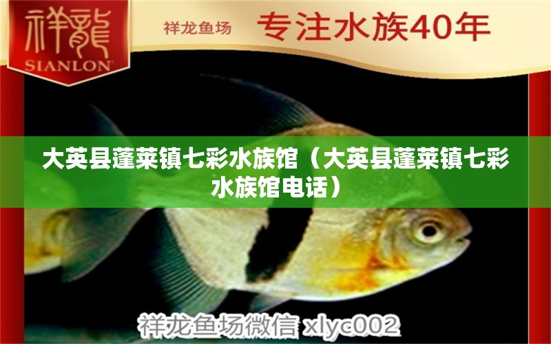 大英县蓬莱镇七彩水族馆（大英县蓬莱镇七彩水族馆电话） 全国水族馆企业名录