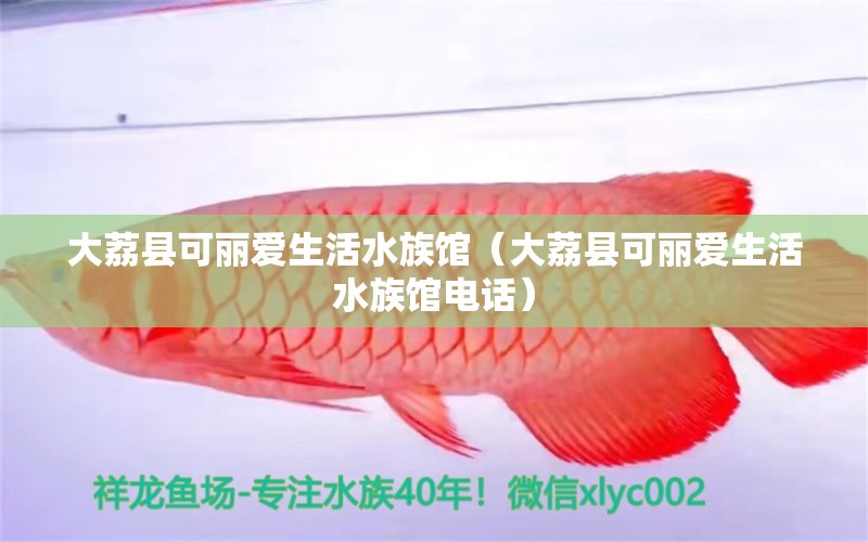 大荔县可丽爱生活水族馆（大荔县可丽爱生活水族馆电话） 全国水族馆企业名录