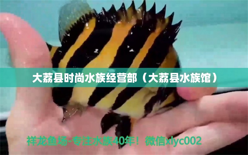 大荔县时尚水族经营部（大荔县水族馆）