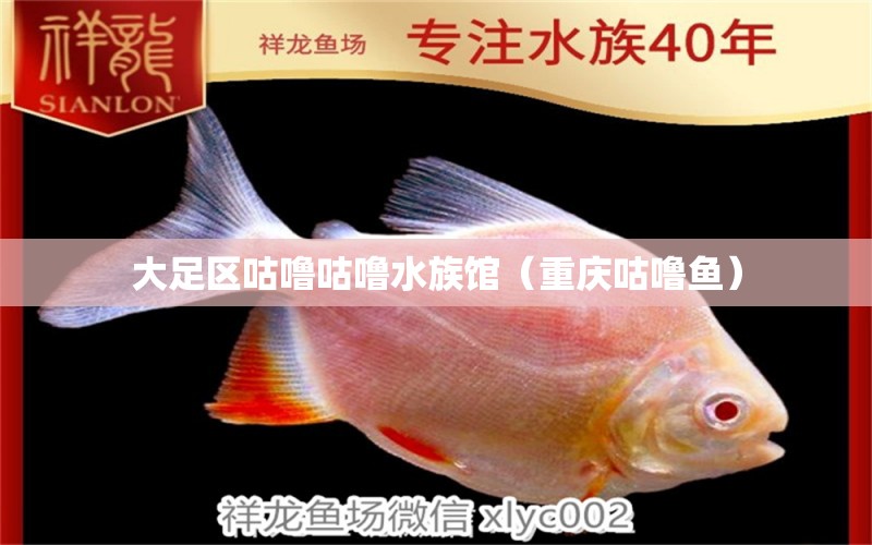 大足区咕噜咕噜水族馆（重庆咕噜鱼） 全国水族馆企业名录