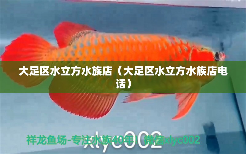 大足区水立方水族店（大足区水立方水族店电话）