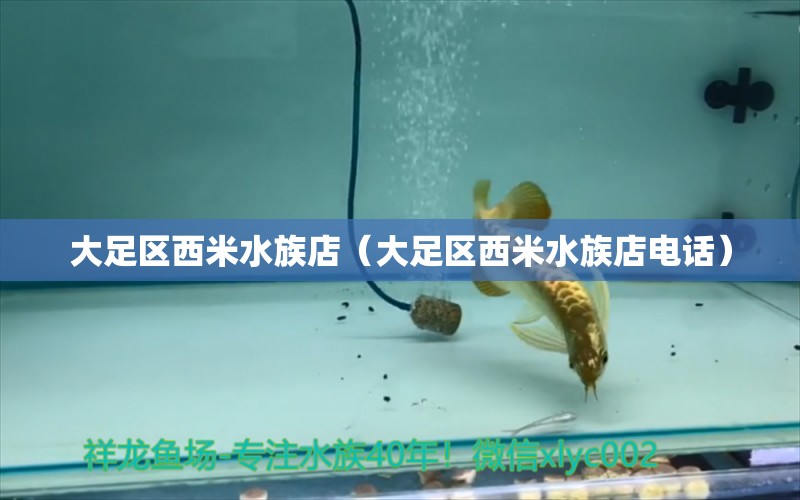 大足区西米水族店（大足区西米水族店电话）