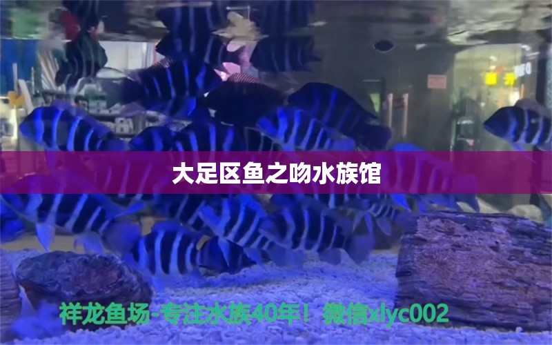 大足区鱼之吻水族馆 全国水族馆企业名录