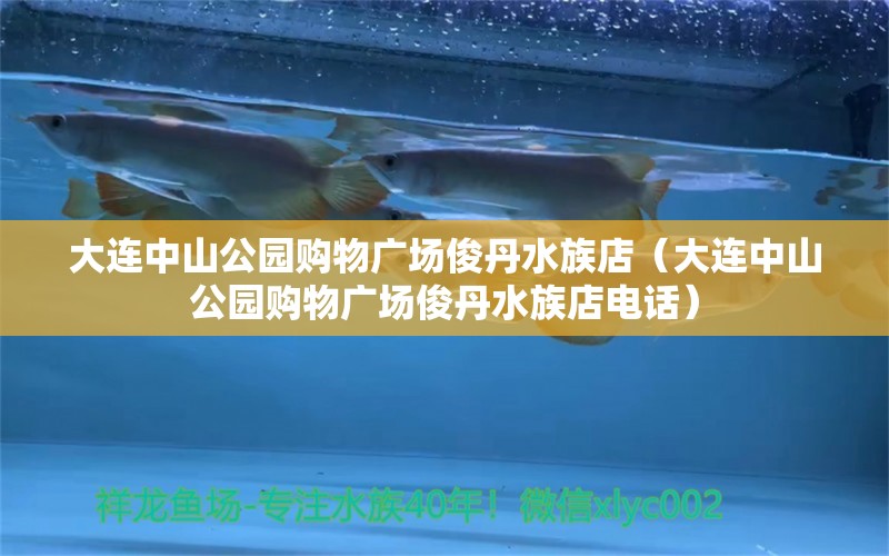 大连中山公园购物广场俊丹水族店（大连中山公园购物广场俊丹水族店电话） 全国水族馆企业名录