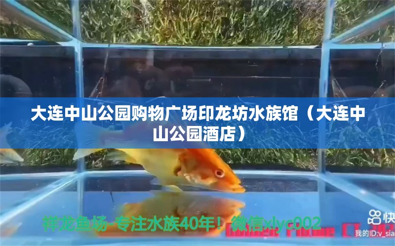 大连中山公园购物广场印龙坊水族馆（大连中山公园酒店） 全国水族馆企业名录