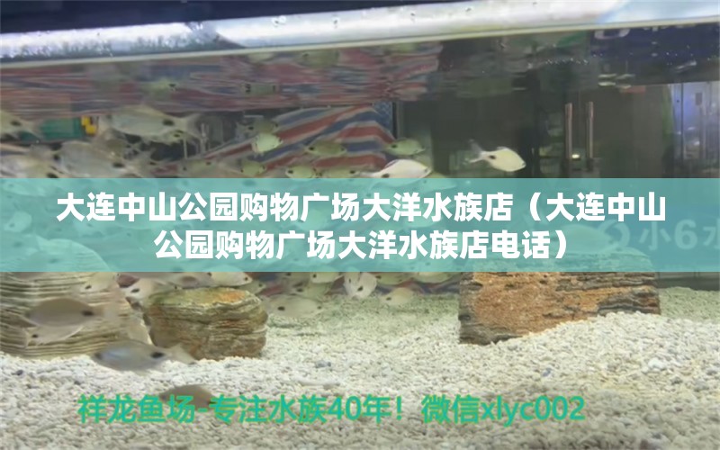 大连中山公园购物广场大洋水族店（大连中山公园购物广场大洋水族店电话）