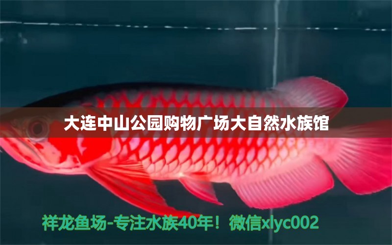 大连中山公园购物广场大自然水族馆 全国水族馆企业名录