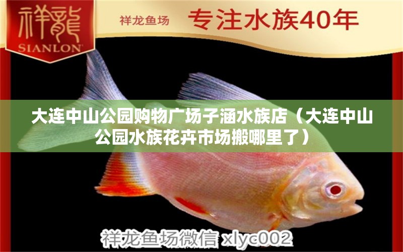 大连中山公园购物广场子涵水族店（大连中山公园水族花卉市场搬哪里了）