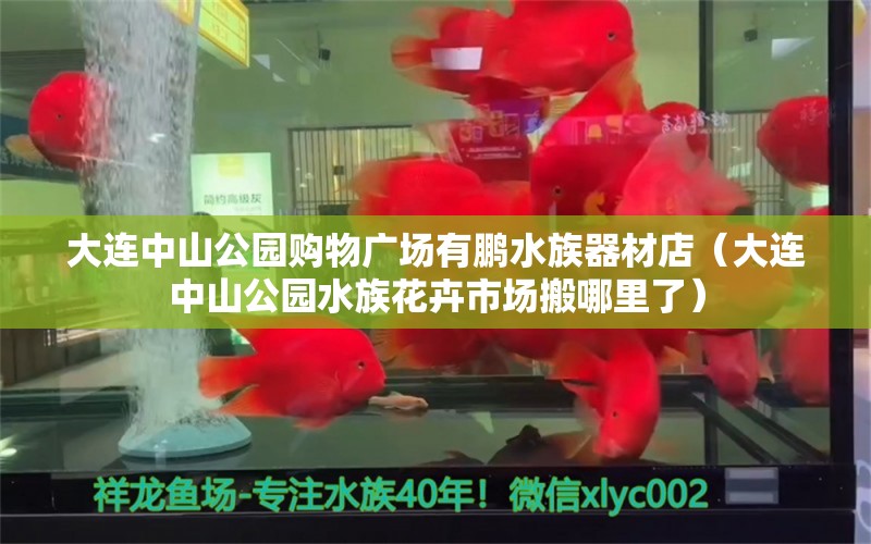 大连中山公园购物广场有鹏水族器材店（大连中山公园水族花卉市场搬哪里了） 全国水族馆企业名录