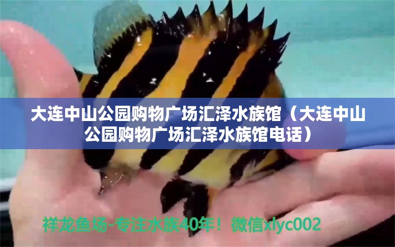 大连中山公园购物广场汇泽水族馆（大连中山公园购物广场汇泽水族馆电话）