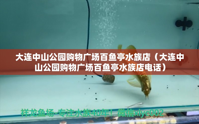 大连中山公园购物广场百鱼亭水族店（大连中山公园购物广场百鱼亭水族店电话） 全国水族馆企业名录