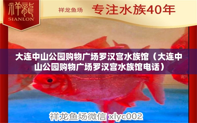 大连中山公园购物广场罗汉宫水族馆（大连中山公园购物广场罗汉宫水族馆电话）