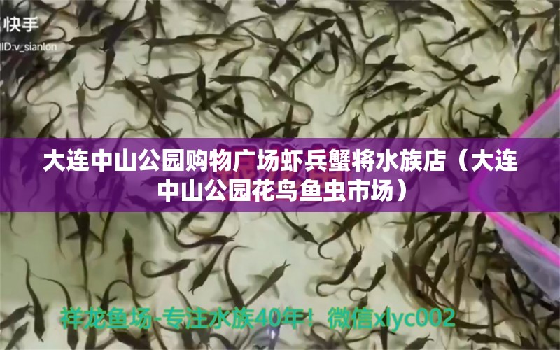 大连中山公园购物广场虾兵蟹将水族店（大连中山公园花鸟鱼虫市场） 全国水族馆企业名录