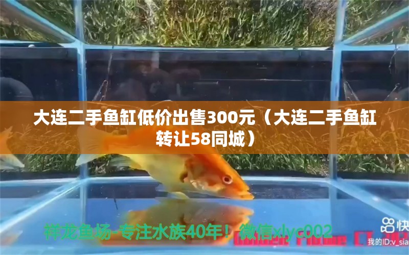 大连二手鱼缸低价出售300元（大连二手鱼缸转让58同城） 水族维护服务（上门）