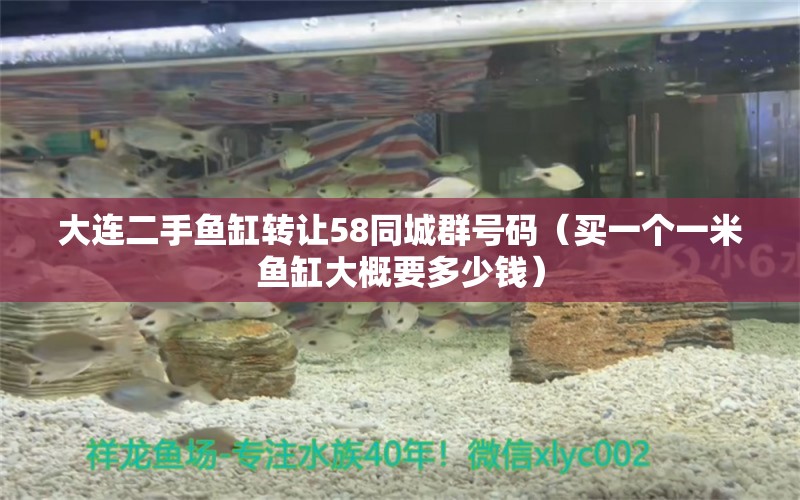 大连二手鱼缸转让58同城群号码（买一个一米鱼缸大概要多少钱） 定时器/自控系统 第2张