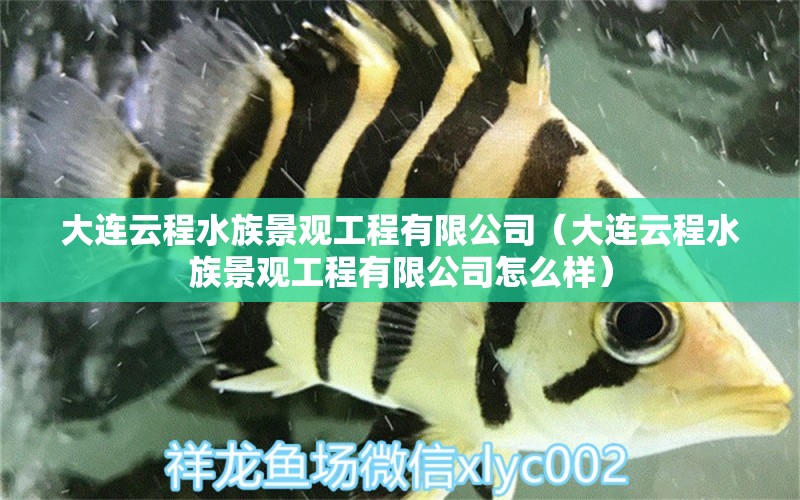 大连云程水族景观工程有限公司（大连云程水族景观工程有限公司怎么样）