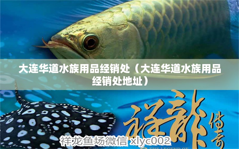 大连华道水族用品经销处（大连华道水族用品经销处地址） 水族用品