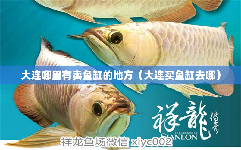 大连哪里有卖鱼缸的地方（大连买鱼缸去哪） 水族品牌