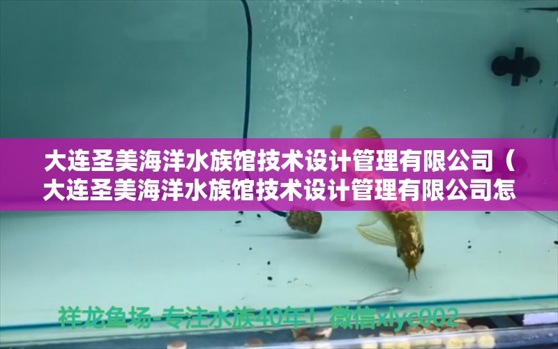 大连圣美海洋水族馆技术设计管理有限公司（大连圣美海洋水族馆技术设计管理有限公司怎么样） 全国水族馆企业名录