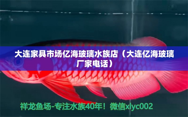 大连家具市场亿海玻璃水族店（大连亿海玻璃厂家电话） 全国水族馆企业名录