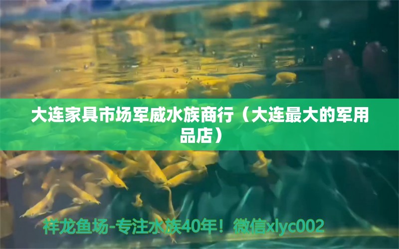 大连家具市场军威水族商行（大连最大的军用品店）