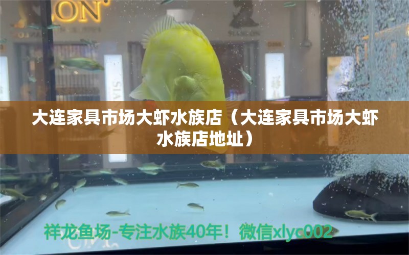 大连家具市场大虾水族店（大连家具市场大虾水族店地址） 全国水族馆企业名录